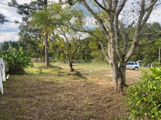 Chácara na Lapa 1km da br com luz e água 2400mt