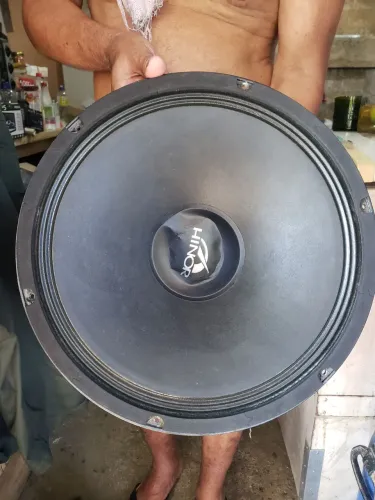 Alto Falante Hinor 15" 300W 150rms 8 Ohms