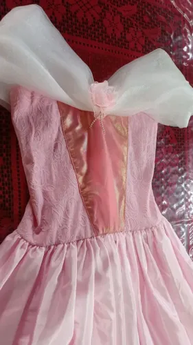 Vestido da bela adormecida 