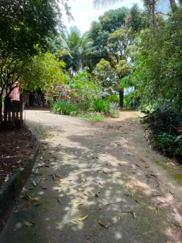 Vendo lote em Alzira Ramos