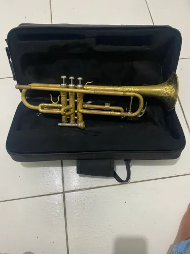 Trompete pra hoje