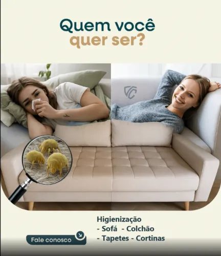 Lavagem a seco - limpeza com qualidade