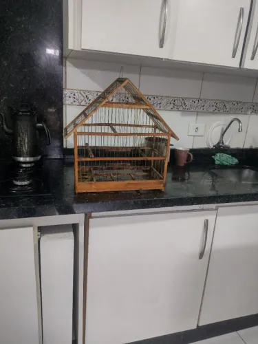 Vendo gaiola de madeira, Guaraituba Colombo 