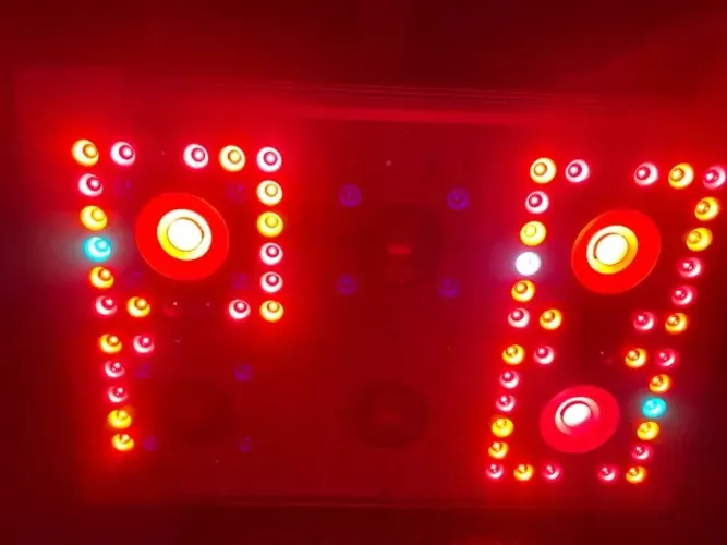 Painel de Led para cultivo indoor