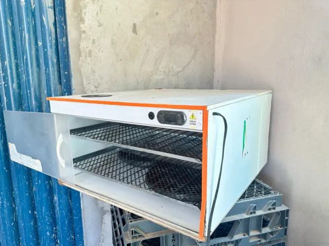 Chocadeira para 240 ovos galinha