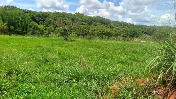 Terreno Grande Jd Tangara Caldas Novas