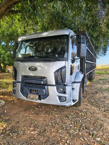 Truck boiadeiro 