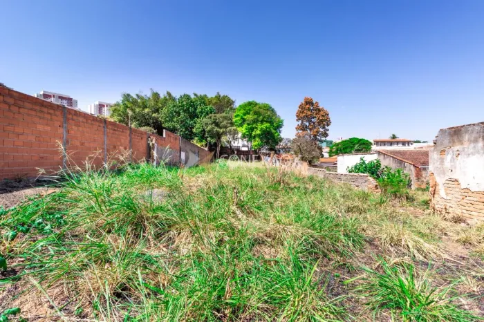 terreno - Vila Marieta - Campinas