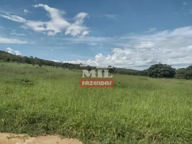 Fazenda 26 alqueires (125,84 hectares ) Goianésia - Go