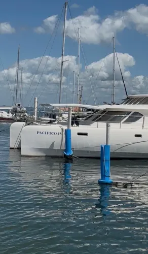 Catamarã Trawler 47.5 à venda