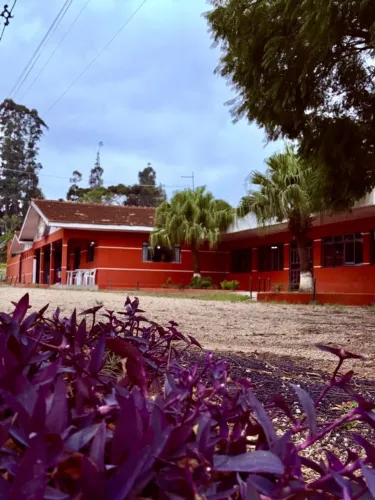 OPORTUNIDADE ÚNICA - Restaurante Tradicional à Venda na BR-277, Palmeira/PR