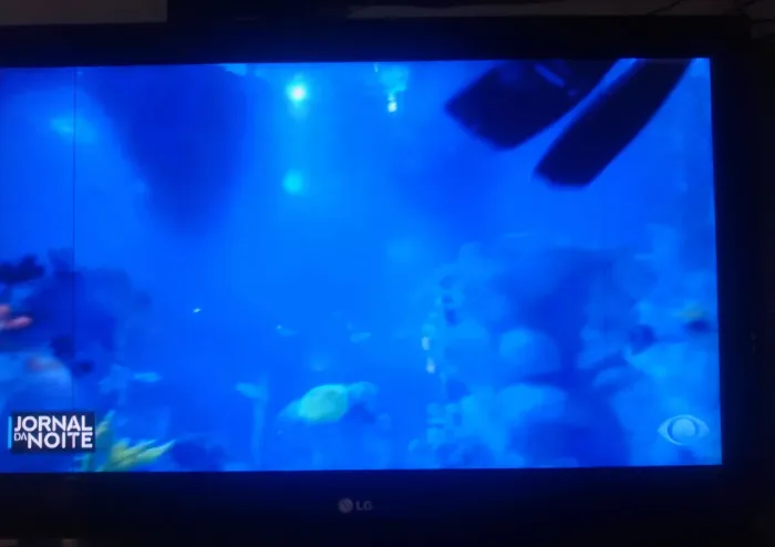 TV 32 polegadas não é smart. Não faço entrega, endereço na descrição 