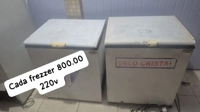 Freezer 220v perfeito cada um 800.00 a retira