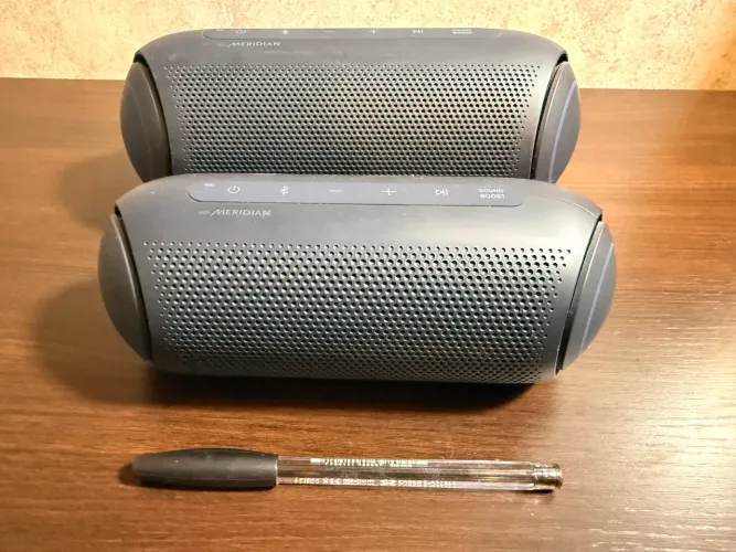 Vendo LG XBoom PL5 GO