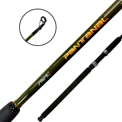 Vara Saint pantanal 30-60lbs 2 partes