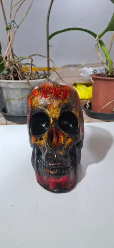 Caveira de gesso