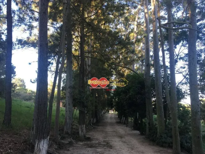 Sítio - Terras de São Sebastião