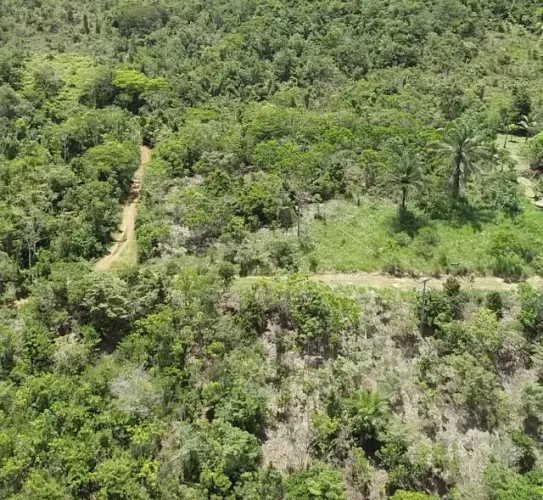Terreno com escritura. 2 Hectares, Sul da Bahia | Natureza, privacidade e potencial.