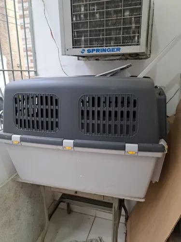 CAIXA DE TRANSPORTE DE PET GRANDE