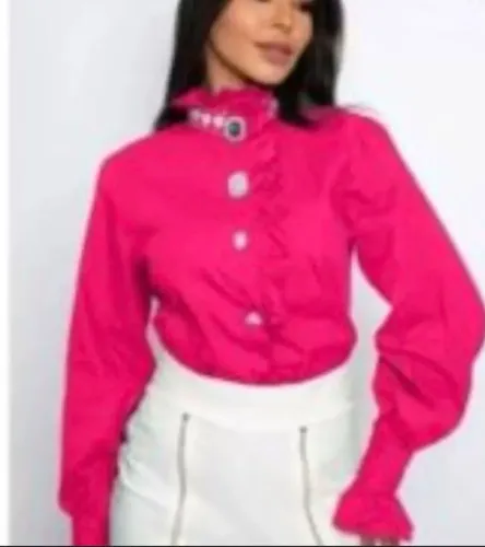 vendo 2 blusa lindíssima nova com etiqueta no cabide e com capa e ja passadinha