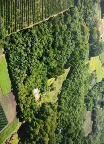 Imóvel para venda com 71580 metros quadrados em Ana Rech - Caxias do Sul - RS