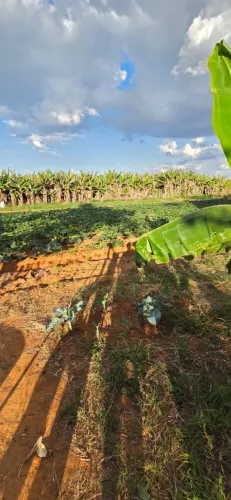 Chácara no Rodeador Brazlandia perto da pista