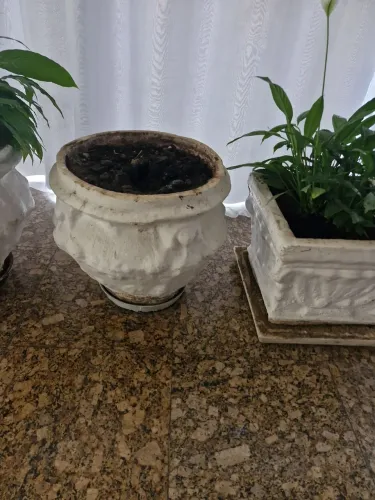 Vasos de cerâmica