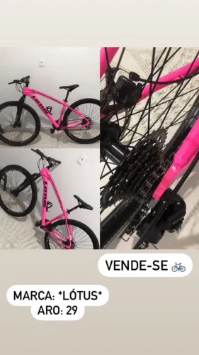 Bicicleta Lotus Aro 29 Seminova - Excelente Estado