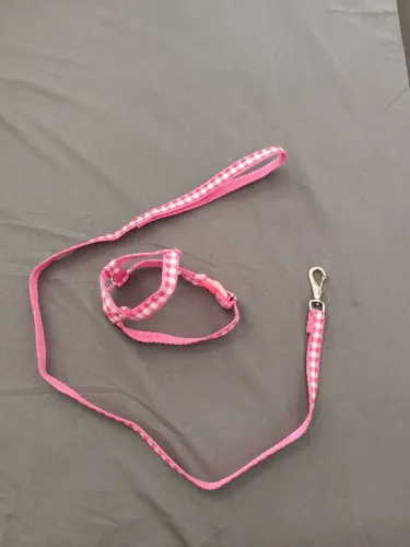 Coleira Peitoral Tipo "H" + Guia Para Cachorros Pequeno