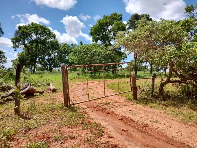 Fazendinhas Planas 20.000m2 Água e Luz, Financiadas em Paraopeba MG