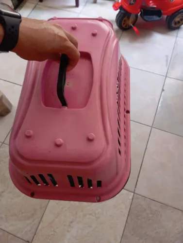 Caixa de transporte de pet cães e gatos 