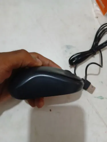 Mouse