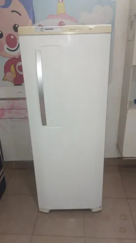 Refrigerador Elestrolux RFE38, 323 litros, frost free, Painel Digital Blue Touch