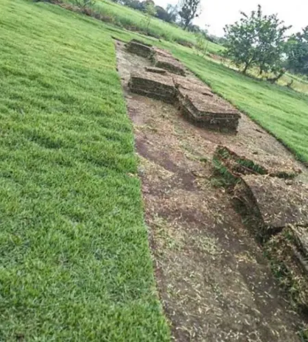 Grama para Jardim - Qualidade Premium!