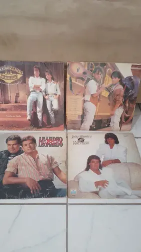 Lote de discos sertanejo