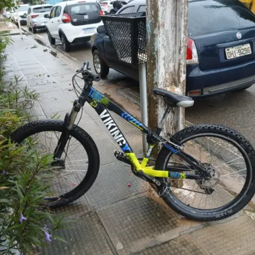 Quadro vikingx