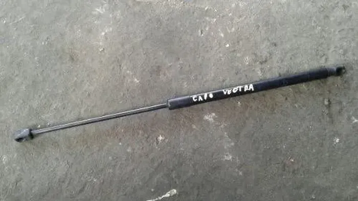 Amortecedor Capo Gm Vectra 2010 Original ... 0266