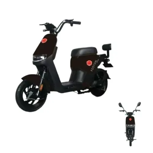 MOTO ELETRICA FOSTON X15 MAX