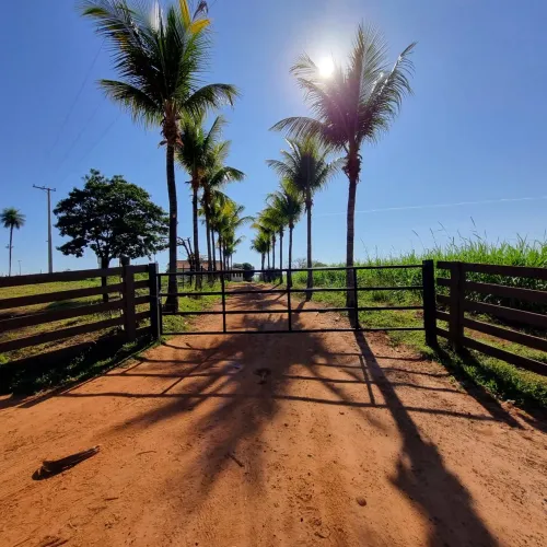 SÍTIO À VENDA MUNICÍPIO DE TANABI -SP (PRÓXIMO AO LEILÃO)
