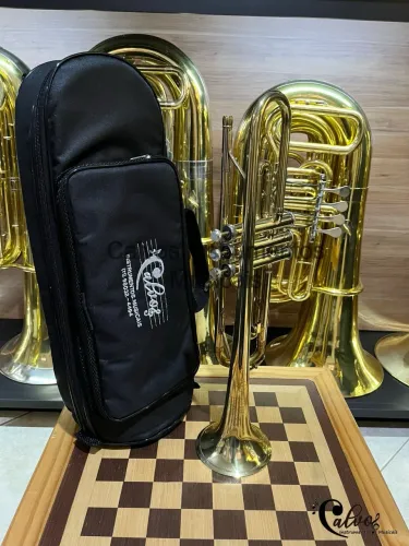 Trompete Pionner USA Sib