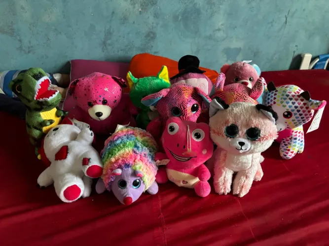 Vendo combo de pelúcias br machine todos novos 215