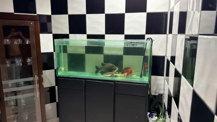 Aquário 270 litros