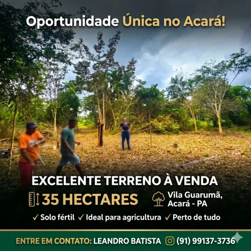 Vendo Terreno 35 hectares Acará, vila Guarumã