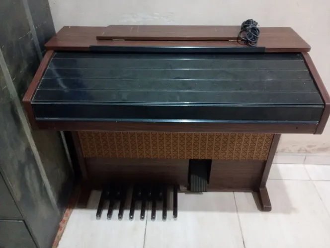 Órgão Eletrônico DOAÇÃO