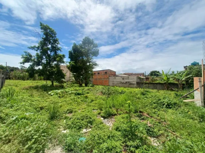 Terreno para Venda em Itanhaém, Sabauna