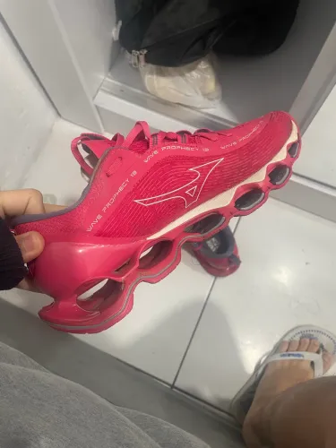 Mizuno prophecy 13 original