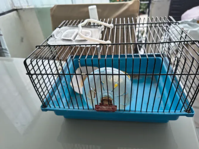 Gaiola hamister