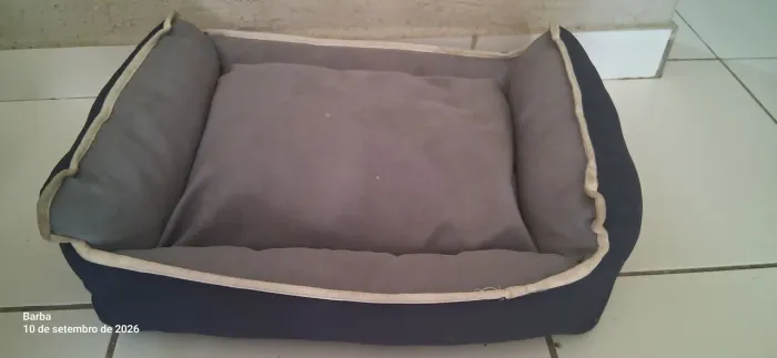 Cama para Dog