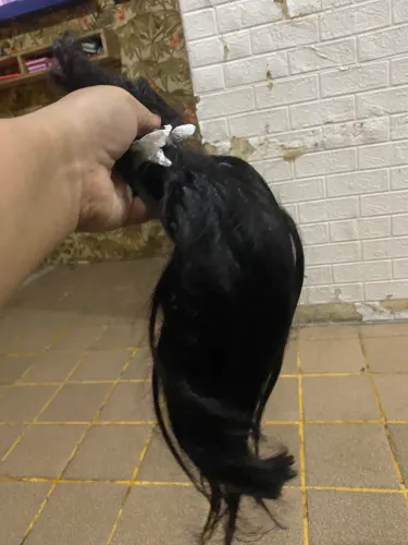 Vendo cabelo humano