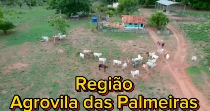 fazenda 249 hac terra de cultura na Agrovila das Palmeiras